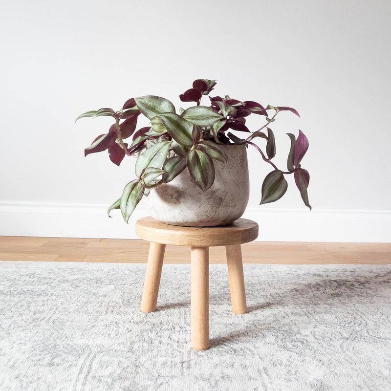 Round Small Oak Stool